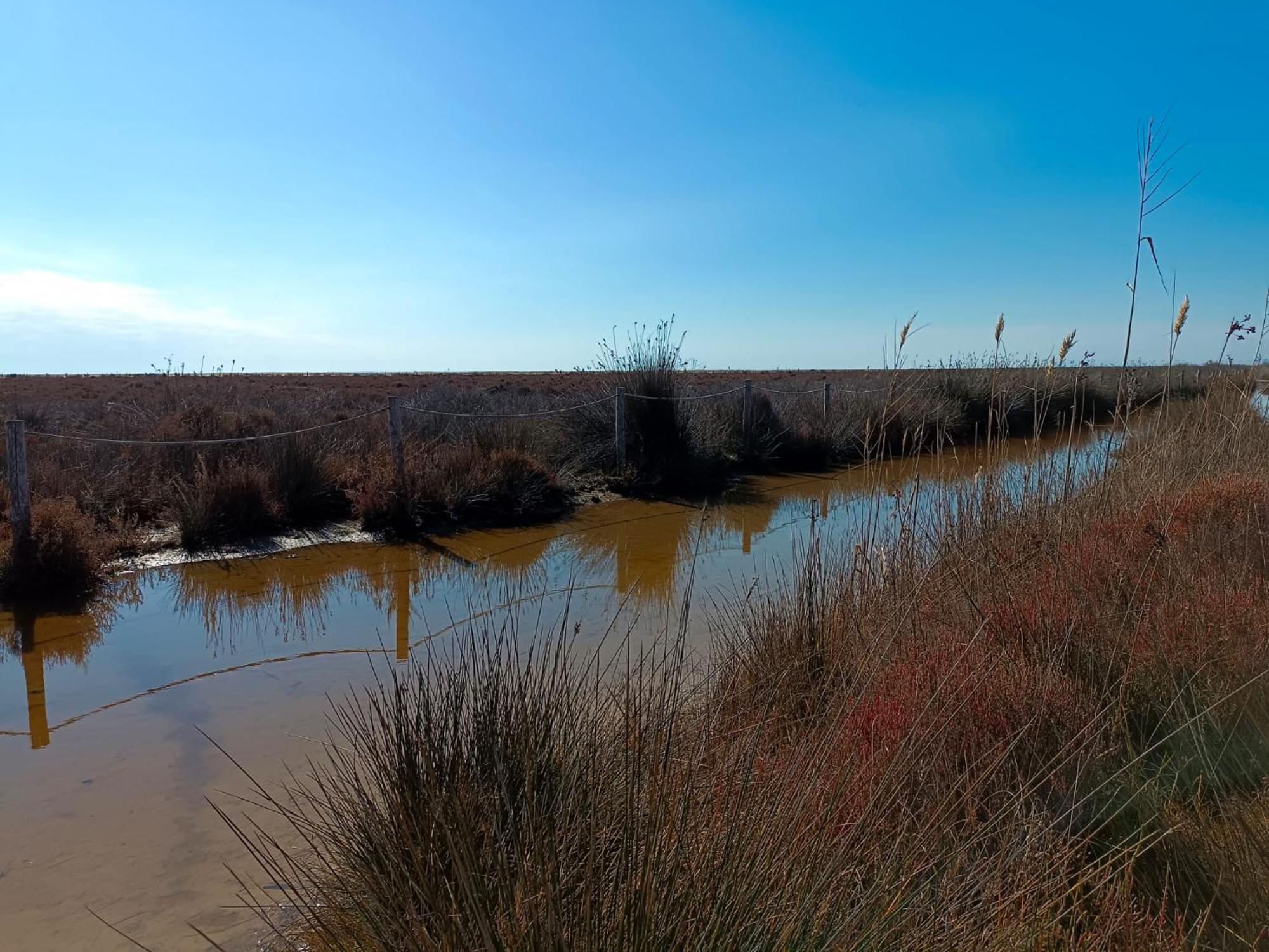 Rincon Del Delta, Apartamento En El Delta Del Ebro, Playa Trabucador Amposta, Tarragona L'Eucaliptus Cameră foto